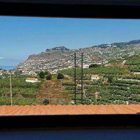 Villa Nova Madeira In Funchal Casa A And B Cameră foto