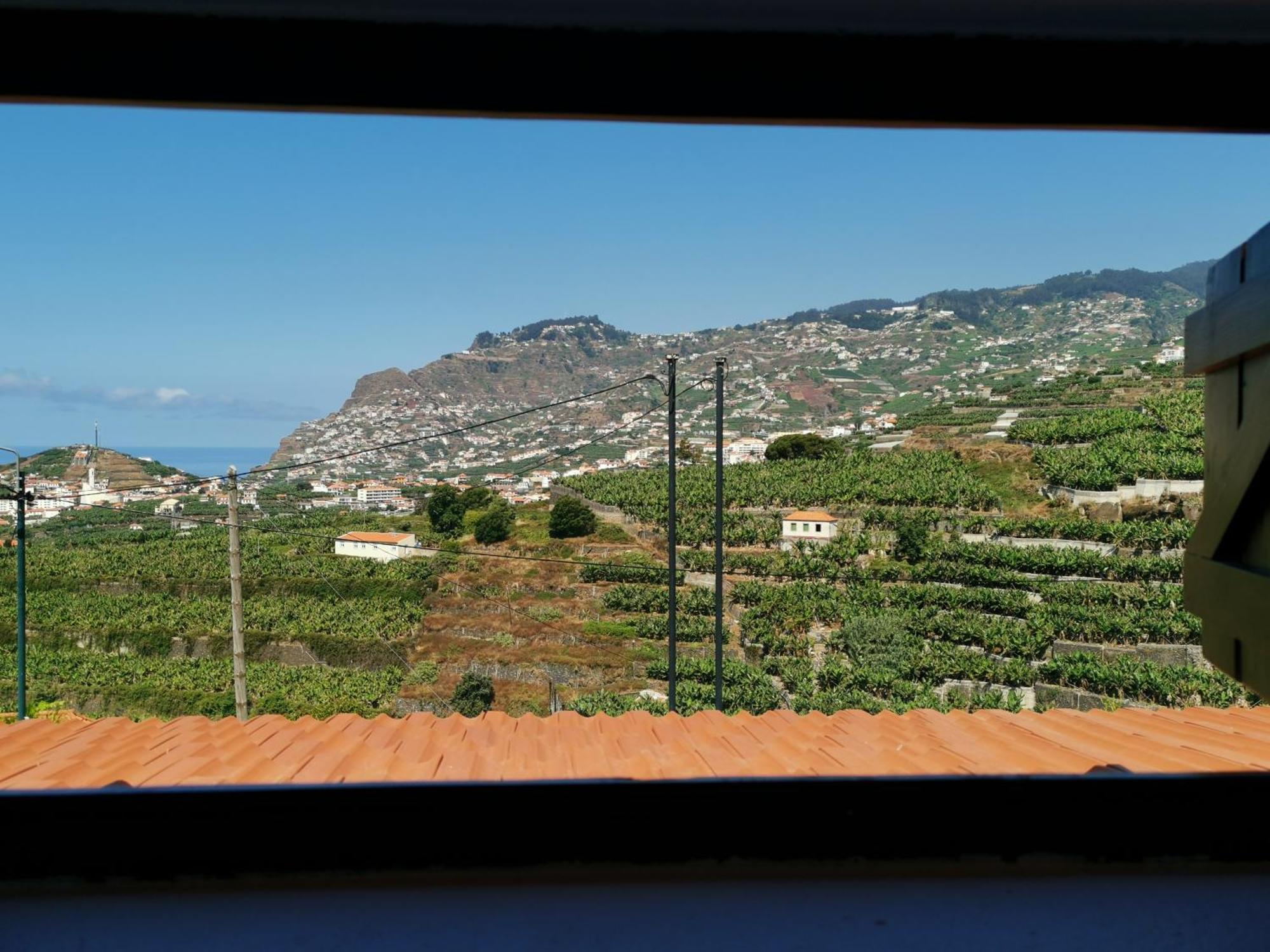 Villa Nova Madeira In Funchal Casa A And B Cameră foto